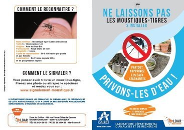 Le moustique tigre